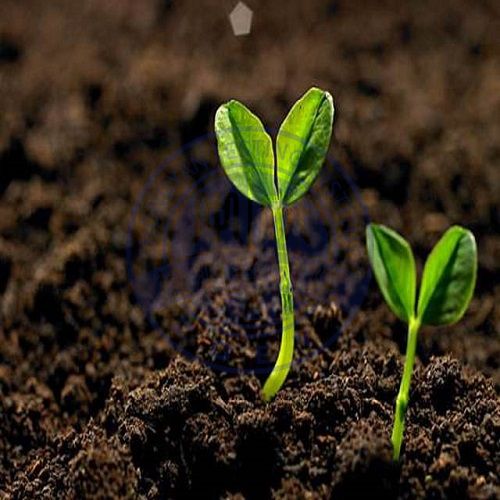 土壤氡浓度检测